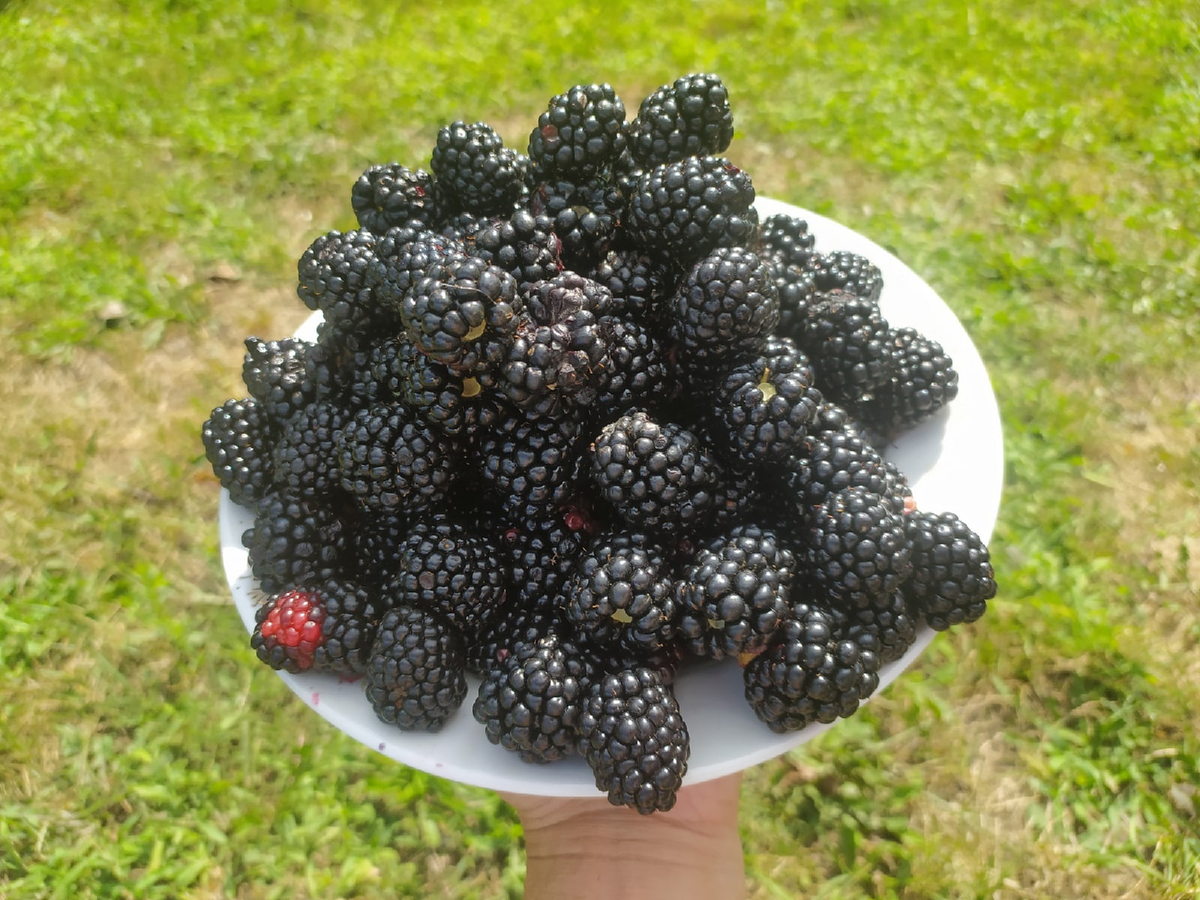 Вон