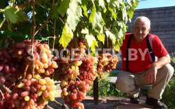 Юбилей Новочеркасска